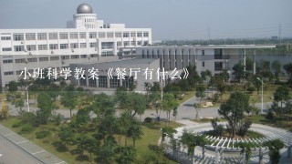 小班科学教案《餐厅有什么》