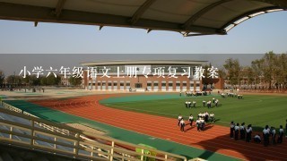 小学6年级语文上册专项复习教案