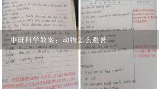 中班科学教案：动物怎么避暑