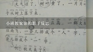 小班教案谁的影子反思