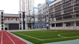 幼儿园大班科学教案：豆子发芽