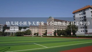 幼儿园小班冬天教案《小动物是怎样过冬的》