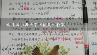 幼儿园小班科学《鱼儿》教案