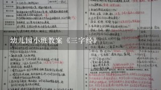 幼儿园小班教案《3字经》