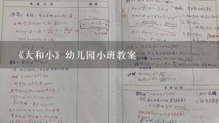 《大和小》幼儿园小班教案