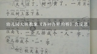 幼儿园大班教案《各种各样的桥》含反思