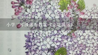 小学2年级体育教案《立定跳远》