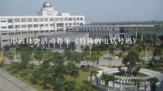 中班社会活动教案《特殊的电话号码》