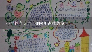 小学体育足球-脚内侧踢球教案