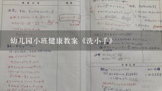 幼儿园小班健康教案《洗小手》