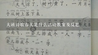 大班诗歌春天是什么活动教案及反思