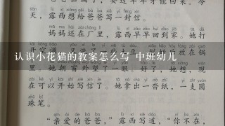 认识小花猫的教案怎么写 中班幼儿