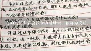 有的鸟长大后会找食物喂母亲，被称为反哺。下列选项中哪种鸟会反哺（ ）。