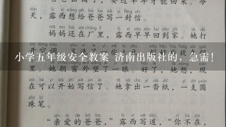 小学5年级安全教案 济南出版社的，急需！