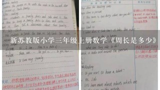 新苏教版小学3年级上册数学《周长是多少》教案教学设计