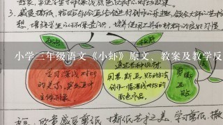 小学3年级语文《小虾》原文、教案及教学反思