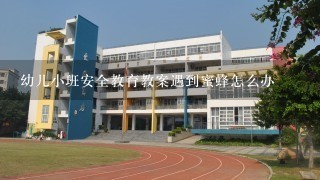 幼儿小班安全教育教案遇到蜜蜂怎么办