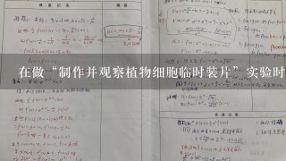 在做“制作并观察植物细胞临时装片”实验时，操作正确的是（ ）。