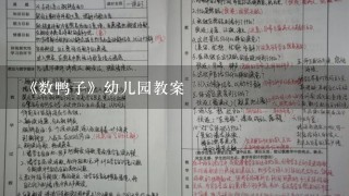 《数鸭子》幼儿园教案