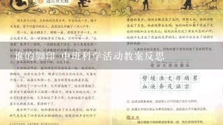 谁的脚印 中班科学活动教案反思