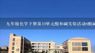 9年级化学下册第10单元酸和碱实验活动6酸碱的化学性质教案新版新人教版