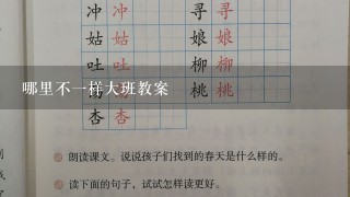 哪里不1样大班教案