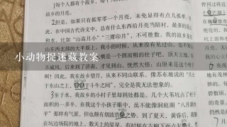 小动物捉迷藏教案