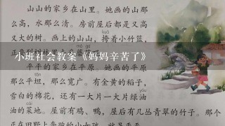 小班社会教案《妈妈辛苦了》