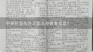 中班社会天冷了怎么办教案反思？