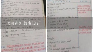 《回声》教案设计