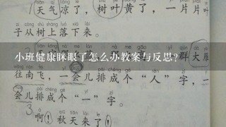 小班健康眯眼了怎么办教案与反思？