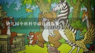 幼儿园中班科学磁铁的教案