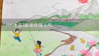 dnf冰花3能冻住领主吗