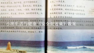 小班生活与健康《安全捉迷藏》教案