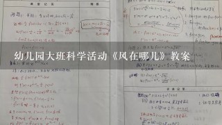 幼儿园大班科学活动《风在哪儿》教案