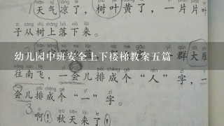 幼儿园中班安全上下楼梯教案5篇