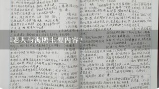 l老人与海鸥主要内容？