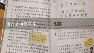 仙人掌面塑教案？