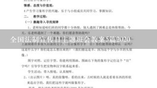 全国法制宣传日主题班会教案5篇2020