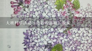 大班科学活动《奇妙的溶解》教案