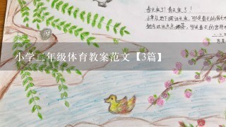 小学2年级体育教案范文【3篇】