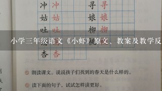 小学3年级语文《小虾》原文、教案及教学反思