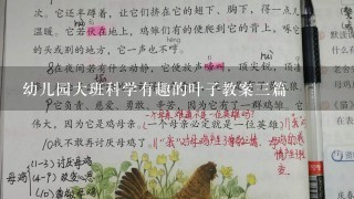 幼儿园大班科学有趣的叶子教案3篇