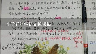 小学5年级语文说课稿