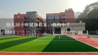 幼儿园小班健康教案：我的小手