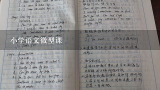 小学语文微型课