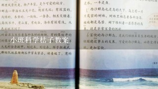 小班科学桔子教案