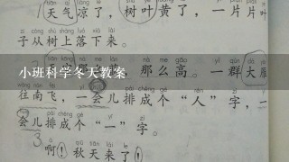 小班科学冬天教案