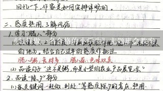 《怎样做1名合格的小学生》主题班会教案