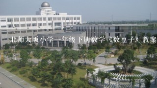 北师大版小学1年级下册数学《数豆子》教案